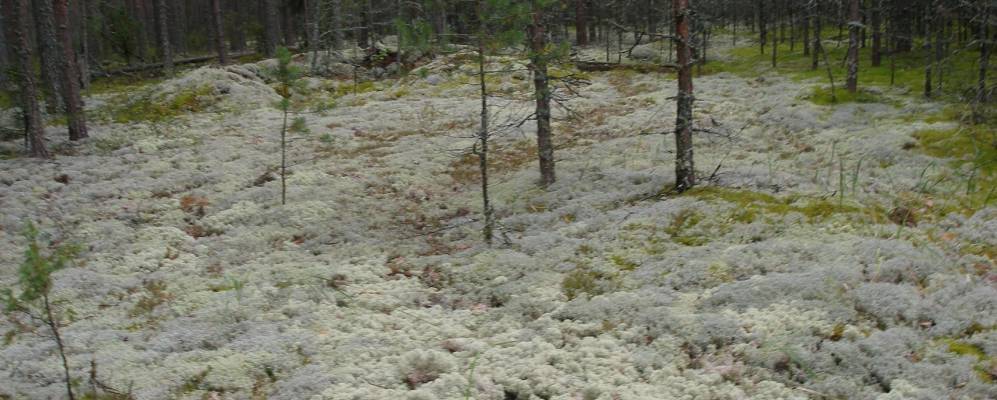 
            Фотография Павлово