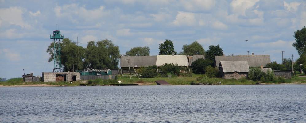 
            Фотография Медлей