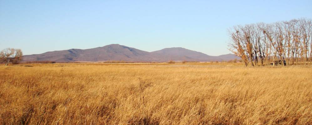 
            Фотография Башмака