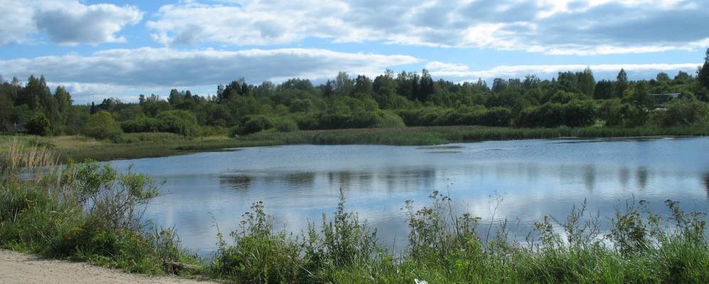 
            Фотография Верхнего Дуброво