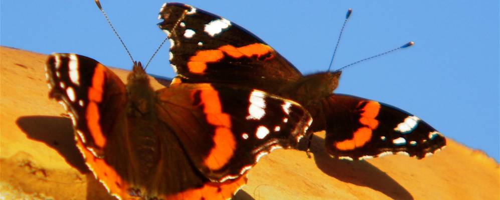 
            Фотография Ла-Куард-сюр-Мер