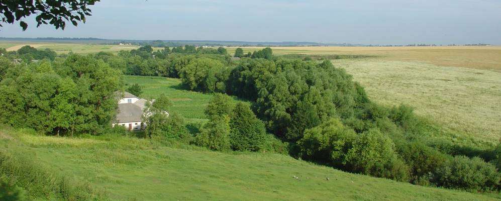 
            Фотография Увислы