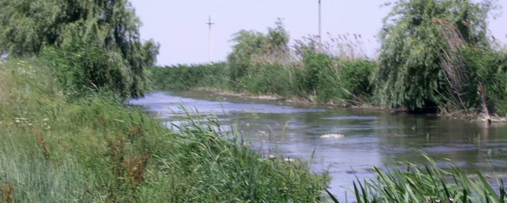 
            Фотография Салгирки