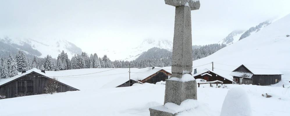 
            Фотография Мьёси