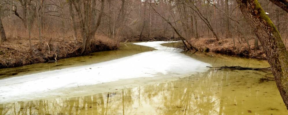
            Фотография Бруновки