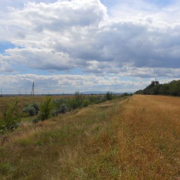 Краснофлотское