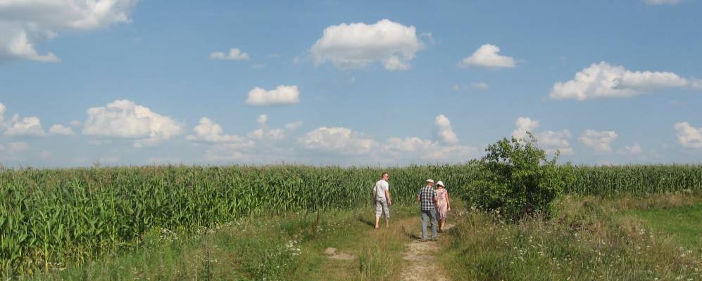 Фотография деревни Пасиничи
