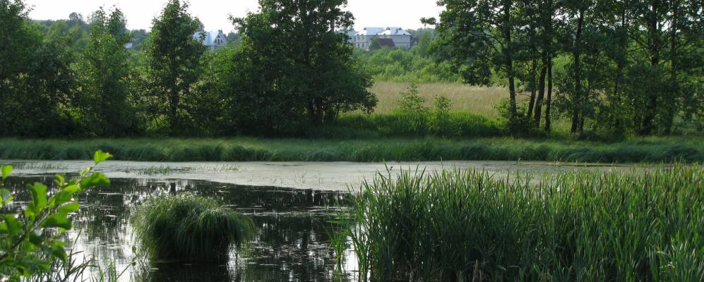 
            Фотография Ивановца