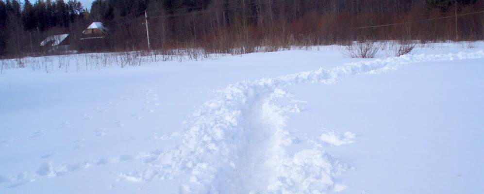 
            Фотография Заборовья