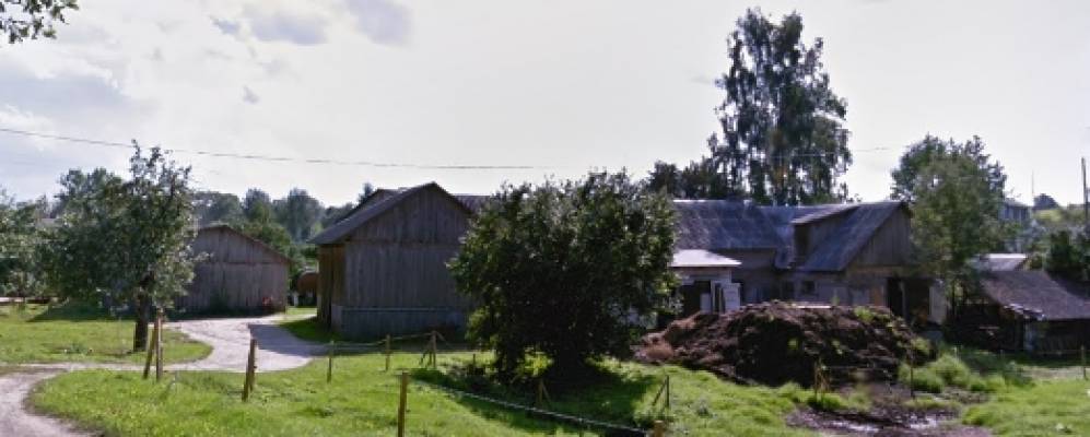 Фотография Зиедони