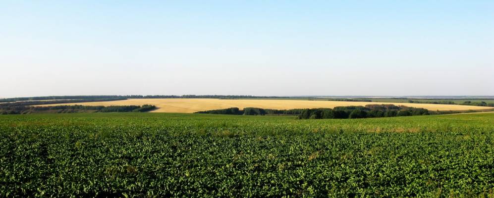 
            Фотография Безодного