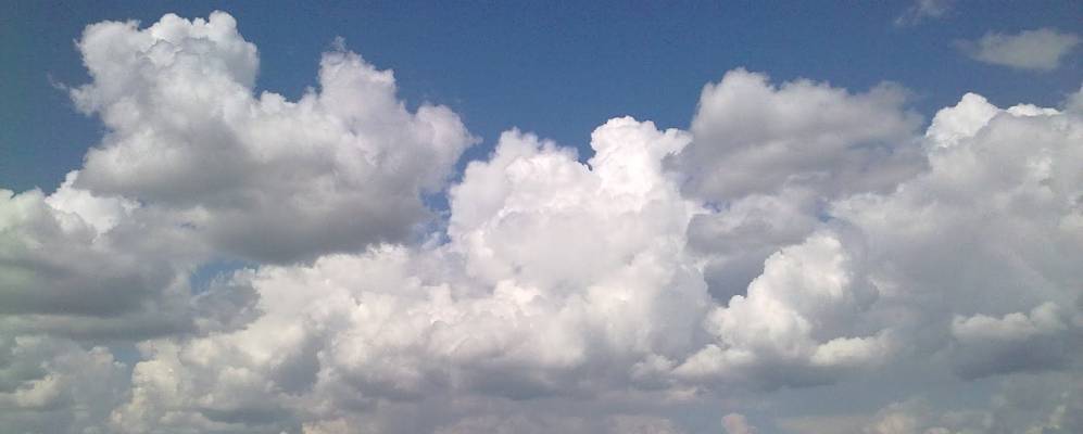 
            Фотография Дибровой