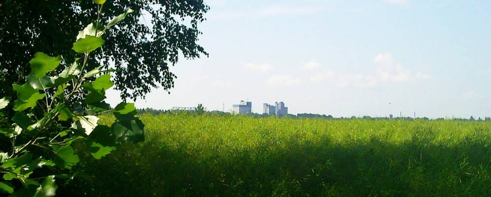 
            Фотография деревни Грицевичи