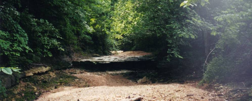 
            Фотография Марфи