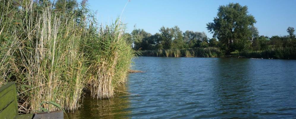 
            Фотография Максимовки