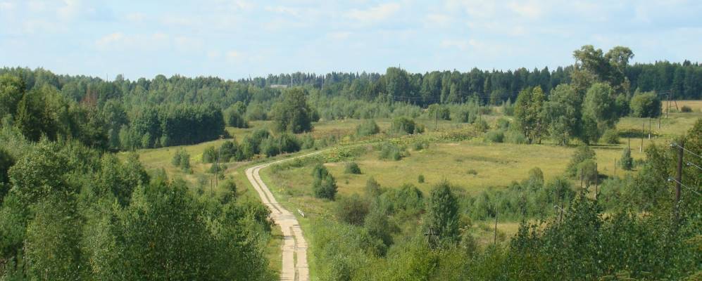 
            Фотография Шишкарей