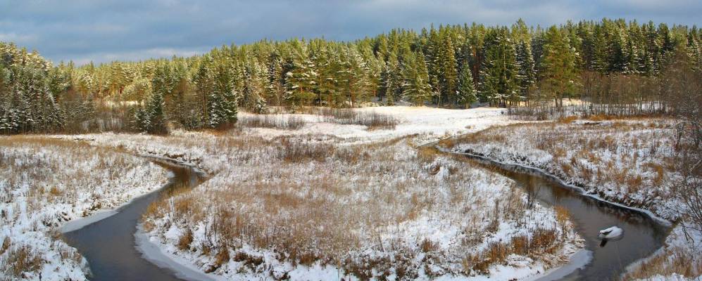 
            Фотография Свободы