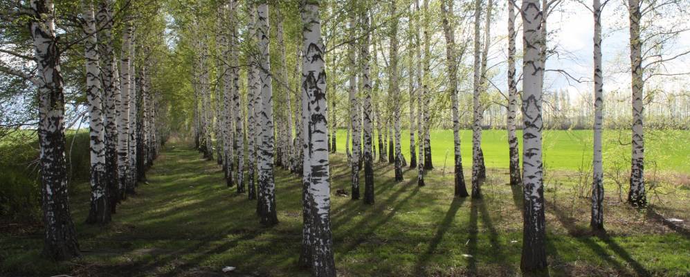 
            Фотография Атьминского