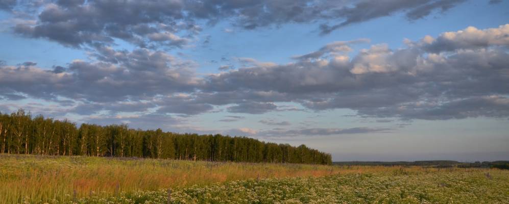 
            Фотография Бутаков