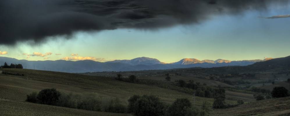 Фотография Бастардо