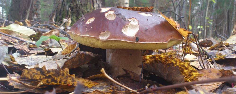 Фотография Фадеево