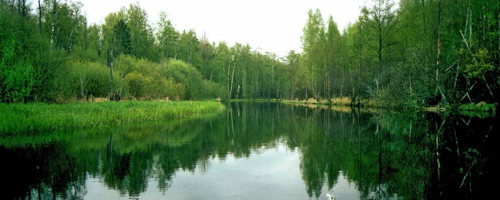 Фотография Борока