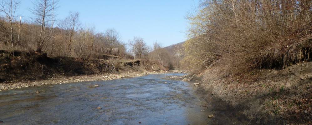 
            Фотография Травалёва