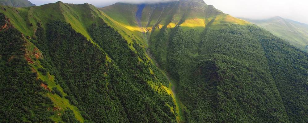 
            Фотография Бежуды