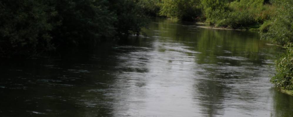 
            Фотография Великой Березовицы