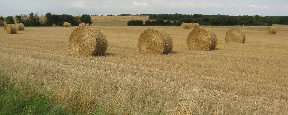 
            Фотография Верена