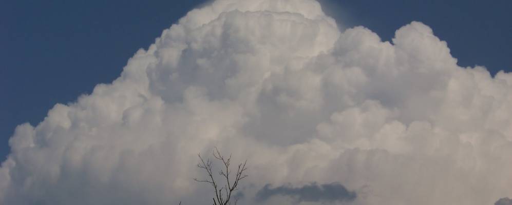 
            Фотография Плизант Вели