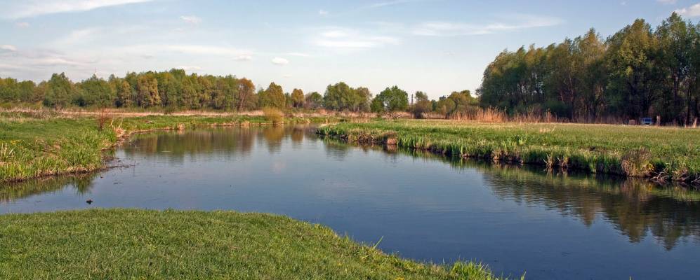 
            Фотография Олешина