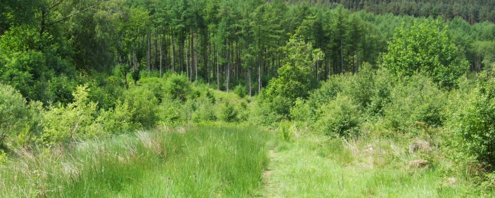 
            Фотография Инглебай