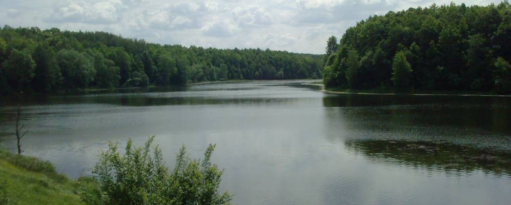 
            Фотография Губского