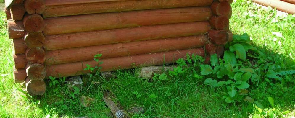 
            Фотография Залужья