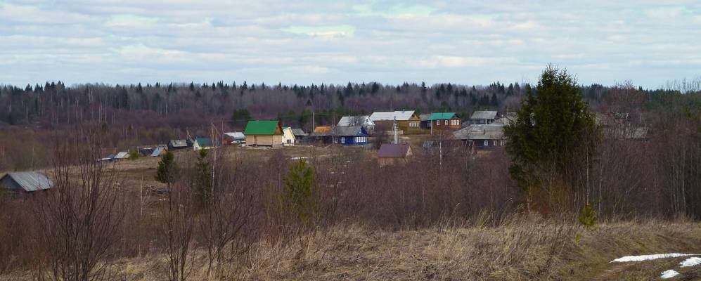 
            Фотография Ново