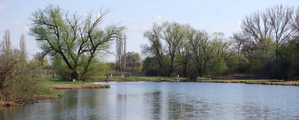 
            Фотография Тарнока
