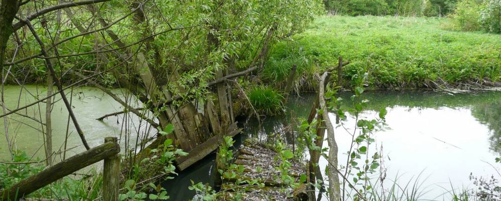 
            Фотография Шушпан-Ольшанки