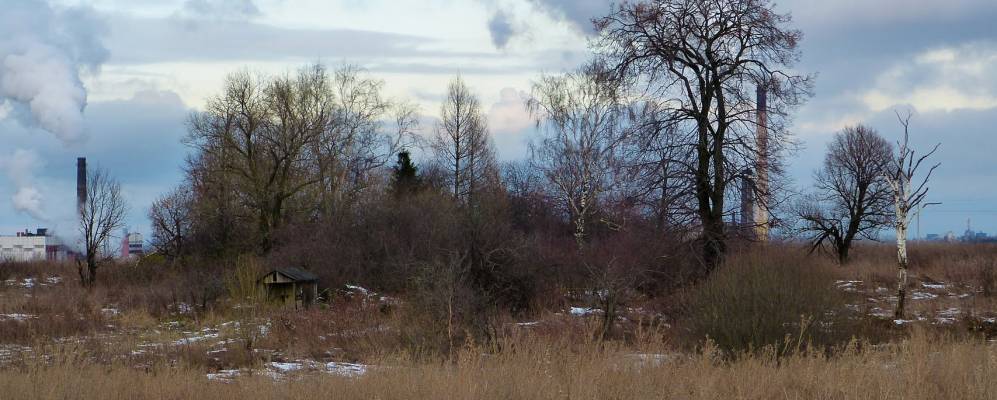 
            Фотография Гончарово