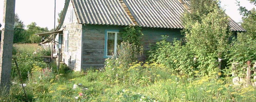 
            Фотография Стректово