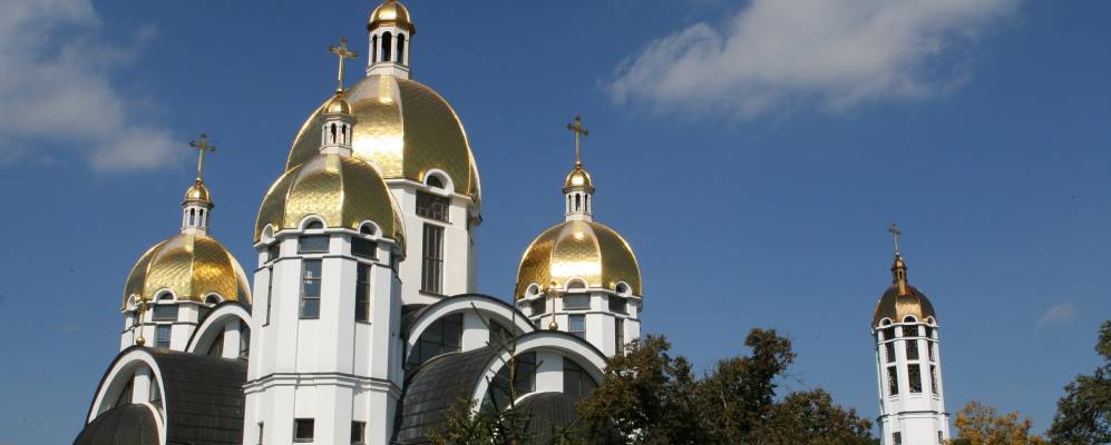 
            Фотография Котузова