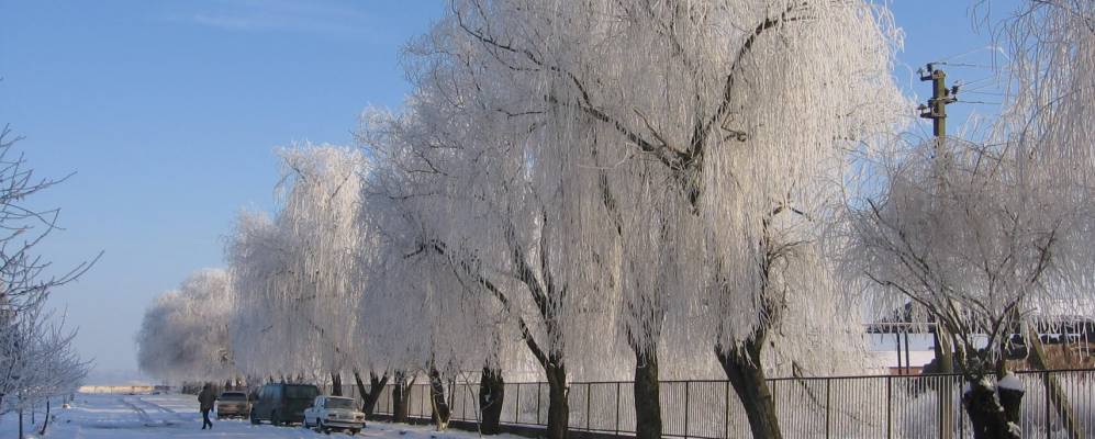 
            Фотография Великой Палади