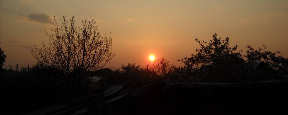 
            Фотография Текуча