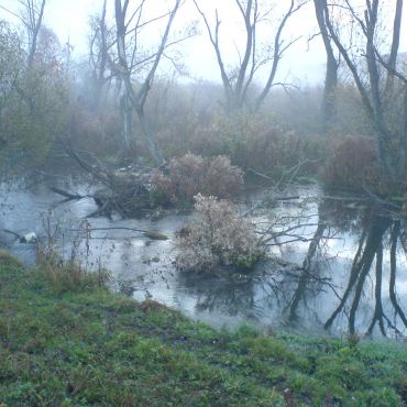 Весёлая Ивановка