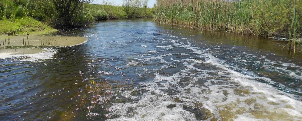 
            Фотография Веселого Кута