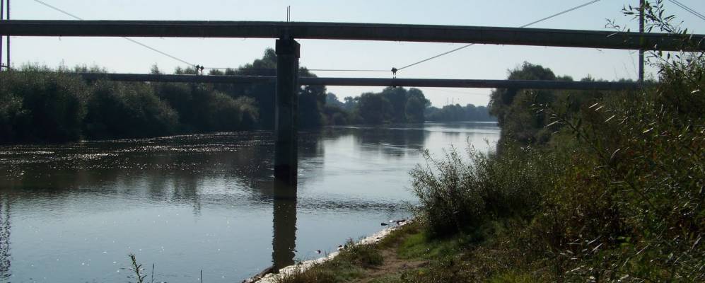 
            Фотография Бородчицы