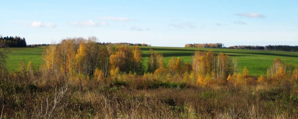 
            Фотография Леденцово