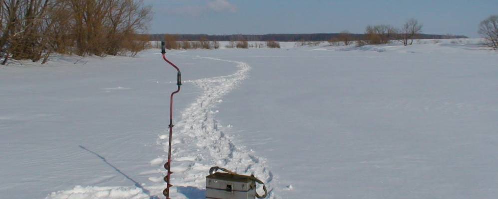 
            Фотография Кошкарово