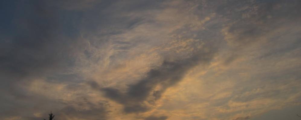 
            Фотография Авдеевой Нивы