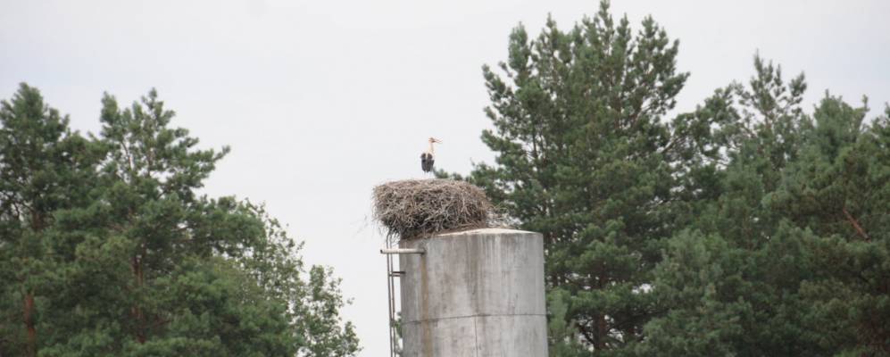 
            Фотография Прокоповки
